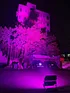moving head wash，led dance floor lights，3d led dance floor，led mirror dance floor，led dance floor tiles，led curtain，wedding curtain，stage light，led star curtain，led moving head，moving head stage lights，led laser light，cmy led moving head light ip65